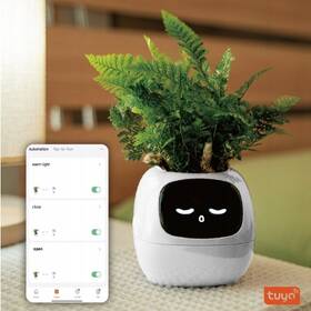 Chytrý květináč Plantsio IVY bílý

 obrázek produktu 4 z 5