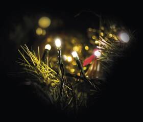 Vánoční osvětlení EMOS 80 LED, 8m, řetěz, teplá bílá, časovač, i venkovní použití 

 obrázek produktu 10 z 18