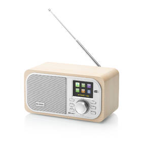 Internetový radiopřijímač GoGEN IR 237 BTDAB stříbrná barva
