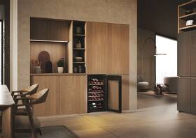 Vinotéka Haier HWS34GGH1 černá

 obrázek produktu 23 z 24