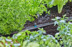 Zavlažovač Gardena MicroDrip System 13319-20 (5 ks) 

 obrázek produktu 3 z 5
