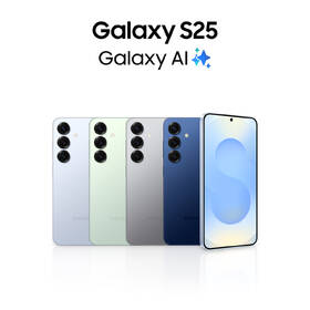 Mobilní telefon Samsung Galaxy S25 5G 12 GB / 128 GB šedá barva
