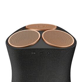 Reproduktor Sony SRS-RA5000 černý

 obrázek produktu 6 z 15