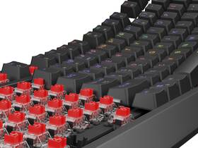Klávesnice Genesis THOR 230, TKL, RGB, Outemu Red, US layout černá

 obrázek produktu 8 z 9