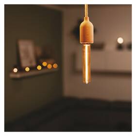 Žárovka LED EMOS DECO T30 "ONE", 2W, 100 lm, E27 , teplá bílá+ 

 obrázek produktu 5 z 6