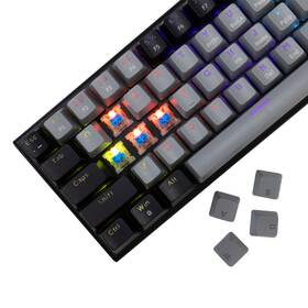 Klávesnice White Shark WAKIZASHI 2, Blue Switch, US layout šedá

 obrázek produktu 1 z 5