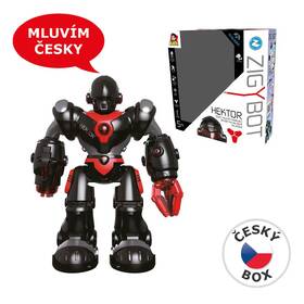 Robot MaDe Hektor 
