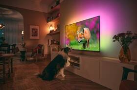 Televize Philips 85PUS8818 

 obrázek produktu 11 z 11