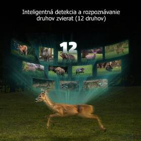 Fotopast Reolink Talon Series T130 SIM maskáčový

 obrázek produktu 15 z 21