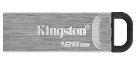 USB Flash Kingston DataTraveler Kyson 128GB stříbrný

 obrázek produktu 1 z 3