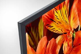 Televize Sony KD-55XF8505 

 obrázek produktu 7 z 8