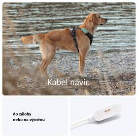 Kabel Tractive nabíjecí pro DOG XL bílý

 obrázek produktu 2 z 4
