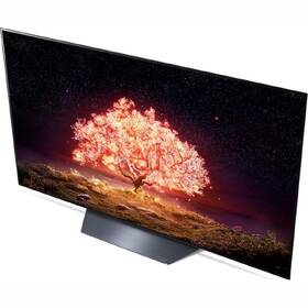 Televize LG OLED77B1 

 obrázek produktu 6 z 10