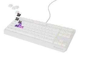 Klávesnice Genesis THOR 230, TKL, RGB, Outemu Brown, US layout bílá

 obrázek produktu 7 z 10