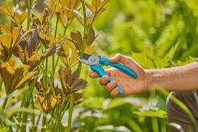 Nůžky zahradní Gardena EasyCut 

 obrázek produktu 1 z 3