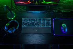 Klávesnice Razer Ornata V3 X - US černá

 obrázek produktu 15 z 18