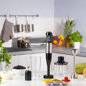 Ponorný mixér Zelmer ZHB4752 stříbrný

 obrázek produktu 9 z 12