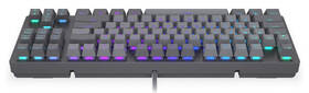 Klávesnice ENDORFY Thock V2 TKL US šedá

 obrázek produktu 4 z 20