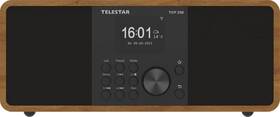 Internetový radiopřijímač s DAB+ Telestar TOP 250 černý/hnědý

 obrázek produktu 2 z 7