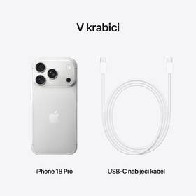 Mobilní telefon Apple 256 GB stříbrný 

 obrázek produktu 9 z 10
