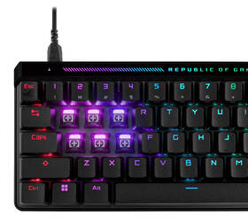 Klávesnice Asus ROG Falchion Ace HFX (ROG HFX Magnetic / PBT) - US layout černá

 obrázek produktu 5 z 14