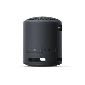 Přenosný reproduktor Sony SRS-XB13 černý

 obrázek produktu 3 z 10