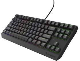 Klávesnice Genesis THOR 230, TKL, RGB, Outemu Red, CZ-SK layout černá

 obrázek produktu 2 z 19