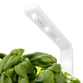 Chytrý květináč Click and Grow Smart Garden 3 šalvějový

 obrázek produktu 3 z 4