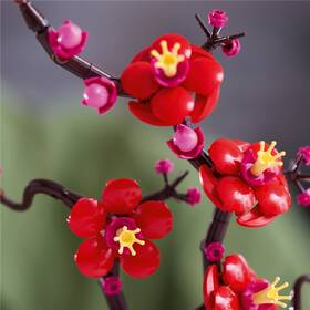 Stavebnice LEGO® Botanicals 10369 Meruňka japonská 

 obrázek produktu 3 z 8