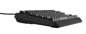 Klávesnice Genesis THOR 230, TKL, RGB, Outemu Brown, US layout černá

 obrázek produktu 1 z 8
