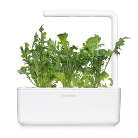 Semínka Click and Grow Rukola (3 ks) 

 obrázek produktu 3 z 3