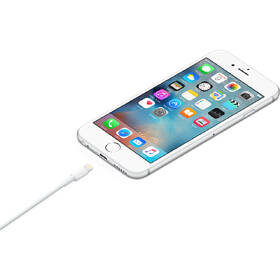 Kabel Apple USB/Lightning, 0,5m bílý

 obrázek produktu 3 z 3