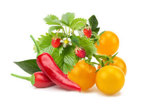 Semínka Click and Grow Mix ovoce a zeleniny (9 ks) 

 obrázek produktu 1 z 1