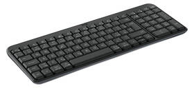 Klávesnice Logitech K250 CZ/SK layout grafitová

 obrázek produktu 3 z 3