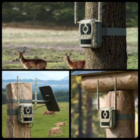 Fotopast Reolink Talon Series S130 maskáčový

 obrázek produktu 5 z 10