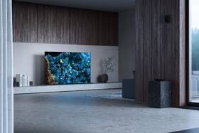 Televize Sony XR-83A80L 

 obrázek produktu 12 z 16