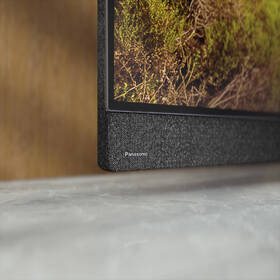 Televize Panasonic TV-55Z95BEG 
