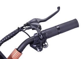 Elektrická koloběžka Mukuta 8 Plus černá/rose gold

 obrázek produktu 9 z 20