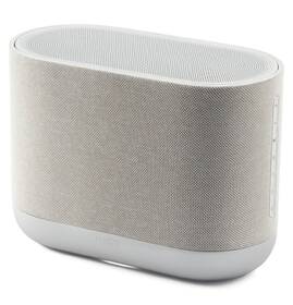 Reproduktor Denon Home 400 stříbrný

 obrázek produktu 4 z 8