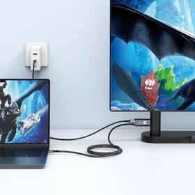 Kabel ERPOWER Displayporter HDMI/USB-C, 4K/60Hz, 2m černý

 obrázek produktu 2 z 2