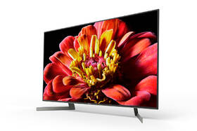 Televize Sony KD-49XG9005 
