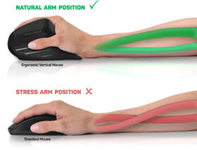 Myš Connect IT Verti TriMode ergonomická vertikální černá

 obrázek produktu 8 z 9