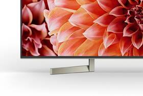 Televize Sony KD-75XF9005 
