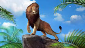 Herní konzole Microsoft 500 GB + Kinect + Sports Rivals + Zoo Tycoon černý

 obrázek produktu 17 z 18