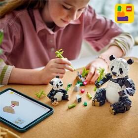 Stavebnice LEGO® Creator 3 v 1 31165 Divoká zvířata: Pandí rodinka 

 obrázek produktu 4 z 7