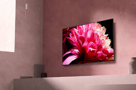 Televize Sony KD-65XG9505 

 obrázek produktu 13 z 13