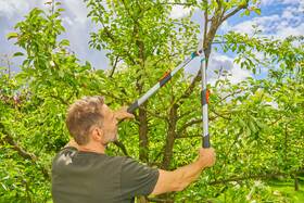 Nůžky na větve Gardena 970757801 

 obrázek produktu 3 z 4