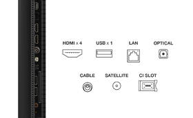 Televize TCL 50C6K 
