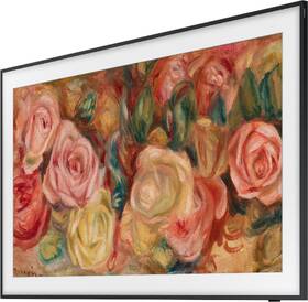Televize Samsung QE65LS03D 
