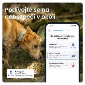 GPS lokátor Tractive DOG 6 mentolový

 obrázek produktu 3 z 10